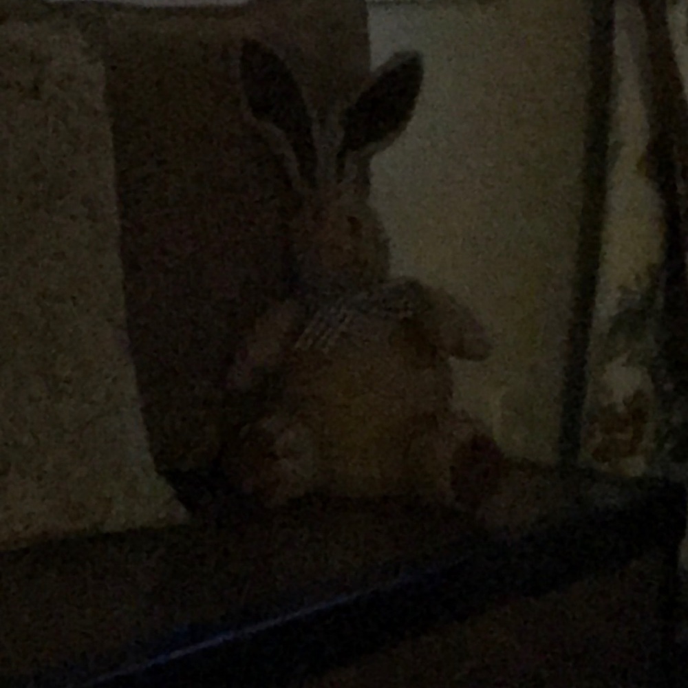 Meet your Posher, Barb